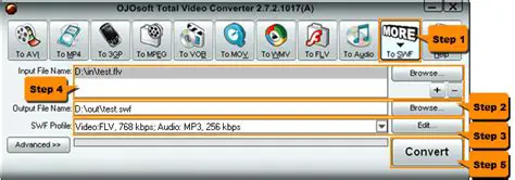 Key Features of Dudu FLV to SWF Converter