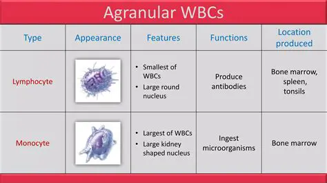 Key Features of Easy Ingest
