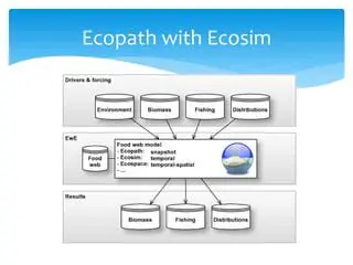 Key Features of Ecopath with Ecosim