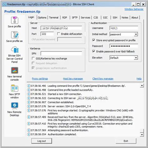 Key Features of FireDaemon Session 0 Viewer