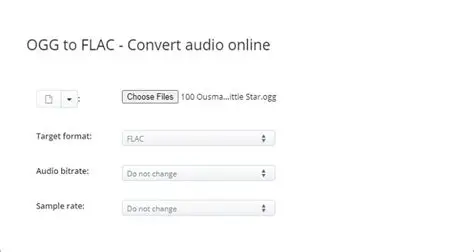 Key Features of Free OGG To FLAC Converter