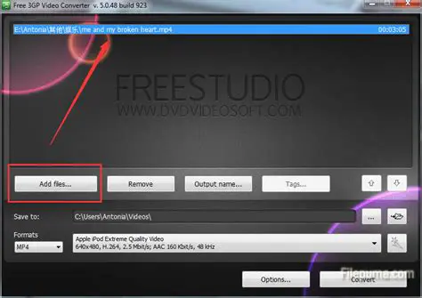 Key Features of FunkyBit 3GP Video Converter