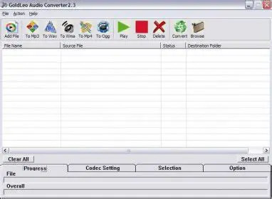 Key Features of GoldLeo Audio Recorder