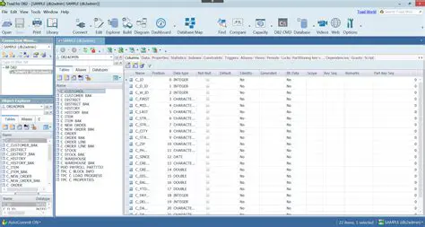 Key Features of IBM DB2 Editor Software