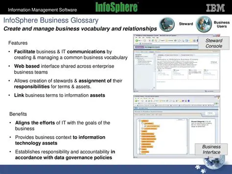 Key Features of IBM InfoSphere Business Glossary Anywhere