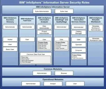 Key Features of IBM InfoSphere Information Server