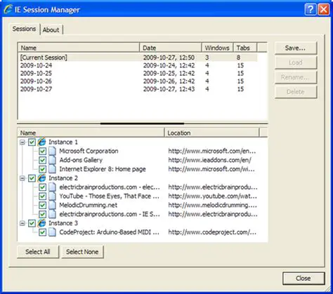 Key Features of IE Session Manager