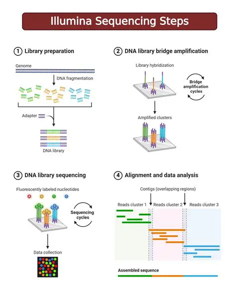 Key Features of Illumina Single Sample LOH Autobookmark Plugin