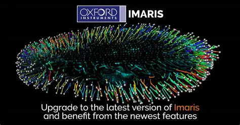 Key Features of Imaris SceneViewer