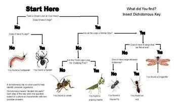 Key Features of INSECT Pro