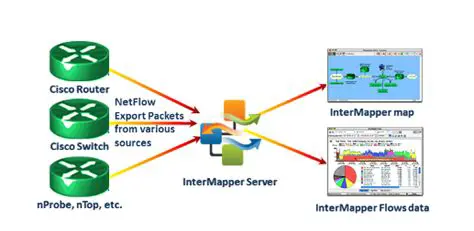 Key Features of InterMapper Flows
