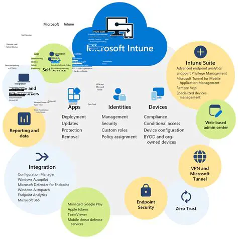 Key Features of International INTUNE