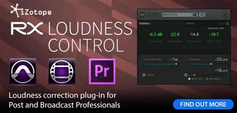Key Features of iZotope RX Loudness Control
