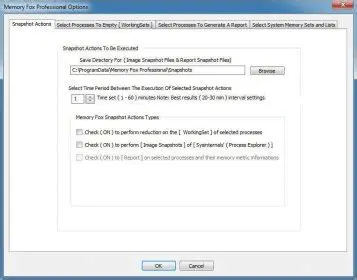 Key Features of Memory Fox Professional