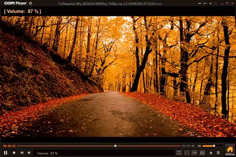 Key Features of MOV Player