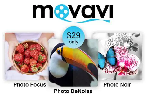 Key Features of Movavi Photo DeNoise
