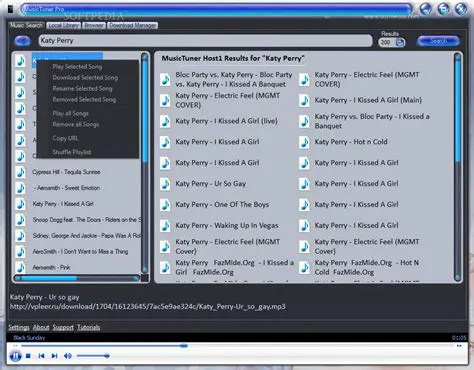 Key Features of MusicTuner
