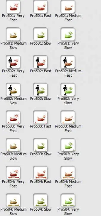 Key Features of muvee Valentine stylePack