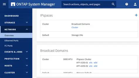 Key Features of NetApp System Manager
