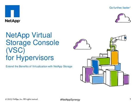 Key Features of NetApp Virtual Storage Console