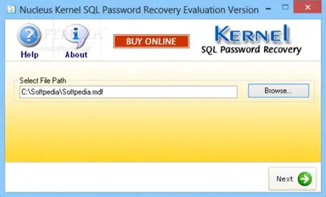 Key Features of Nucleus Kernel SQL Password Recovery