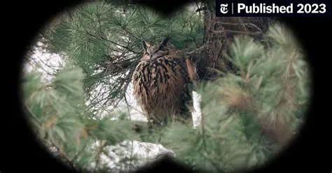 Key Features of OWL Reporter