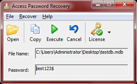 Key Features of Pakeysoft Access Password Recovery