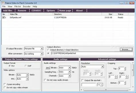 Key Features of Pazera Free Video to Flash Converter