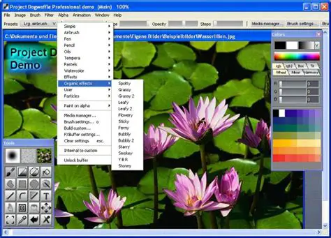 Key Features of PD Pro Digital Painter