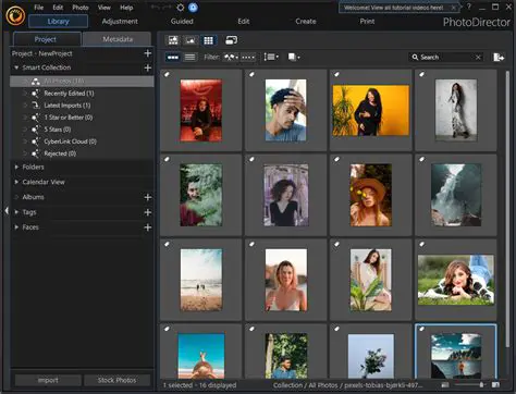 Key Features of Photo Organizer Software