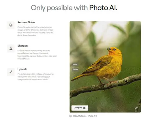 Key Features of Photo Progressor Light