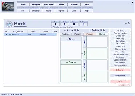 Key Features of Pigeon Loft Organizer 4