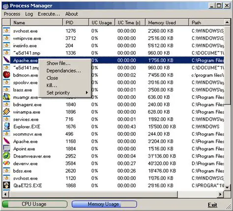 Key Features of Process Manager 2 Lite