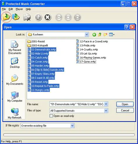 Key Features of Protected Music Converter