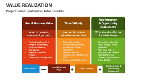 Key Features of Realization Project Viewer