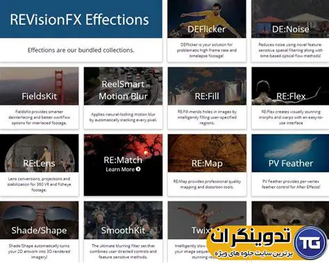 Key Features of REVisionFX Effections Plus