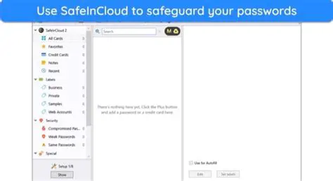 Key Features of SafeInCloud Password Manager