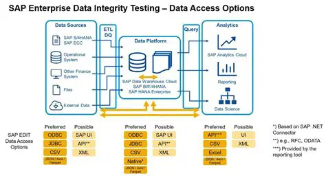 Key Features of Samsol SAP Enterprise Data Miner