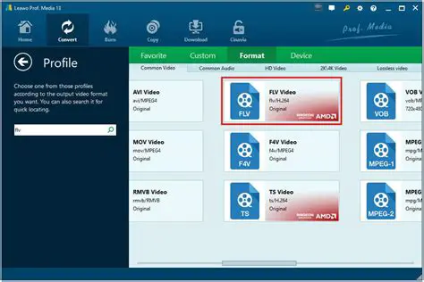 Key Features of Shine DVD to FLV Converter
