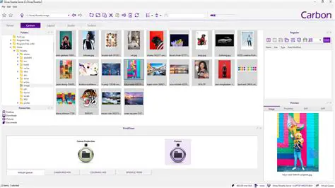 Key Features of Shiraz Carbon