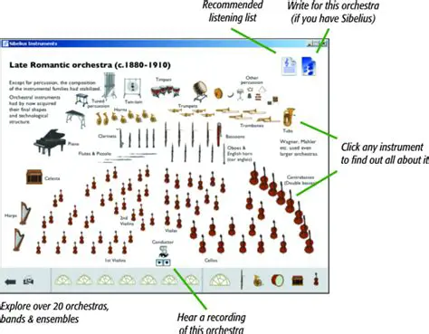 Key Features of Sibelius Instruments