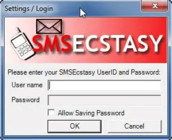 Key Features of SMS Ecstasy