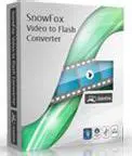 Key Features of SnowFox Video to Flash Converter