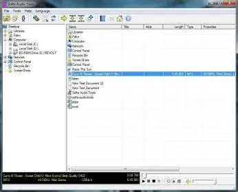 Key Features of Softe Audio Converter