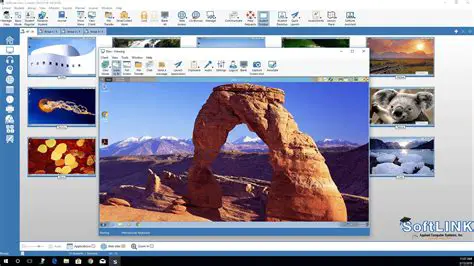 Key Features of SoftLink WebViewer
