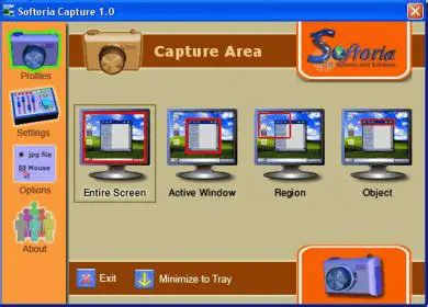 Key Features of Softoria Capture