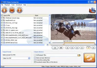 Key Features of SoftPepper PSP Video Converter