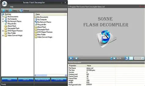 Key Features of Sonne Flash Decompiler