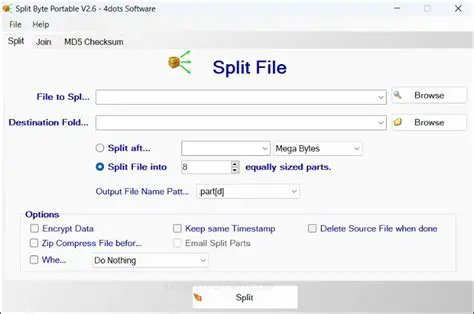 Key Features of Split Byte
