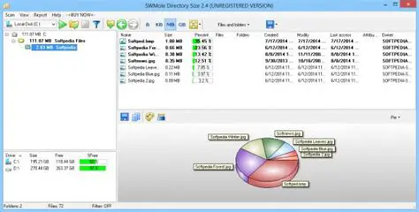 Key Features of SWMole Directory Size